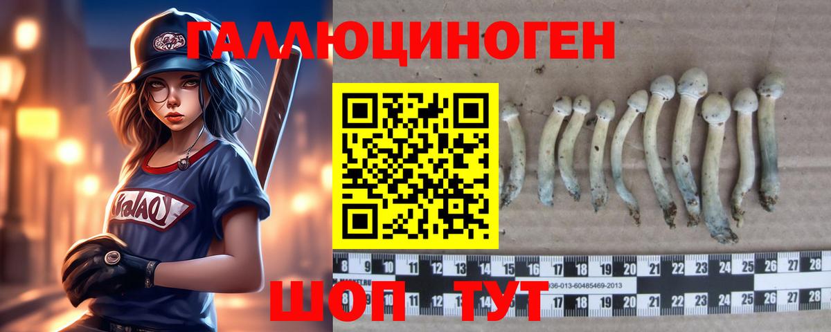 Галлюциногенные грибы MAGIC MUSHROOMS  Вход с VPN  Скопин  Псилоцибиновые грибы GOLDEN TEACHER 